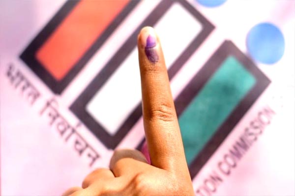 election11