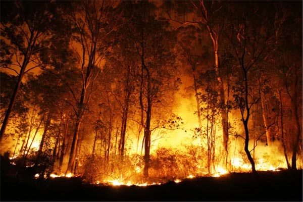 fire2 2