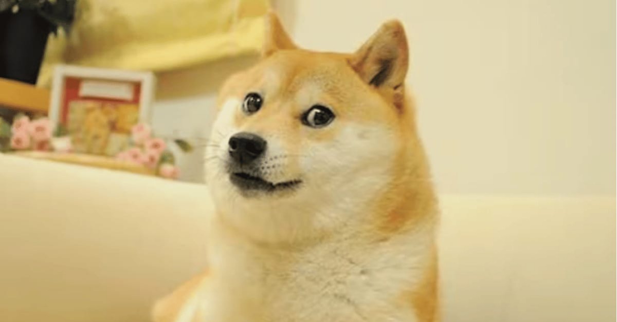 Japanese dog Kabosu