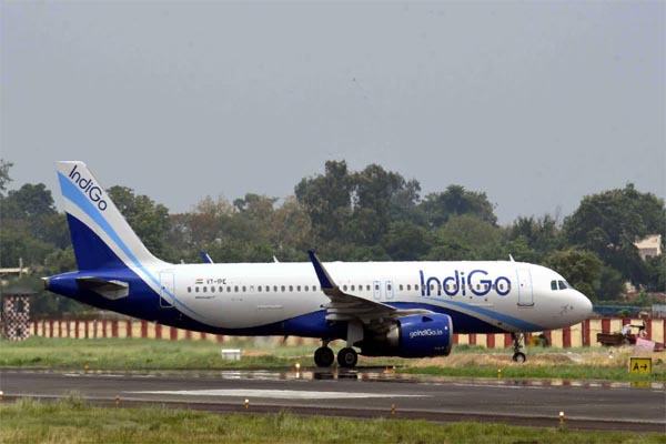 indigo.jpg1