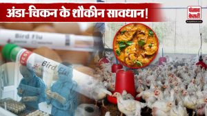 Ranchi में नहीं बिकेगा अंडा और चिकन, जानें क्या है मामला | Bird Flu In Ranchi