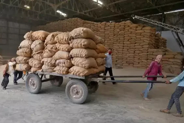 rice4