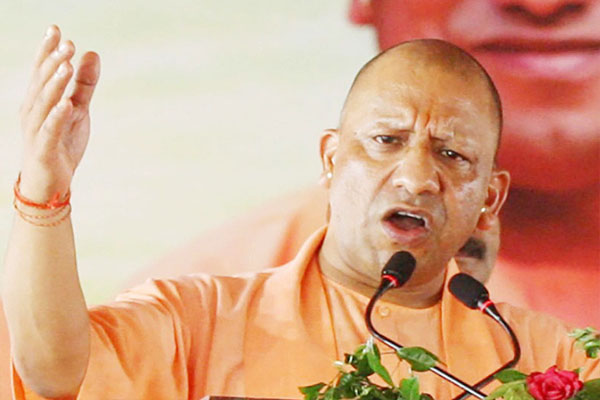 yogi4