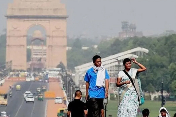 delhi2 4