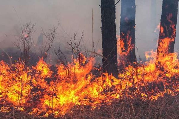 fire3 3