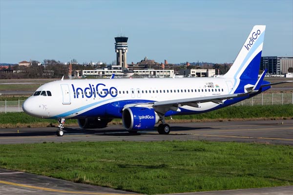 indigo1
