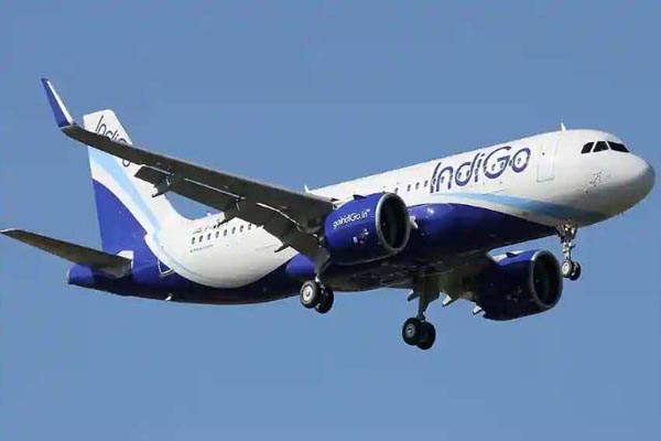 indigo3
