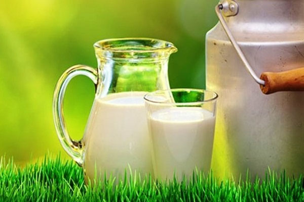 milk