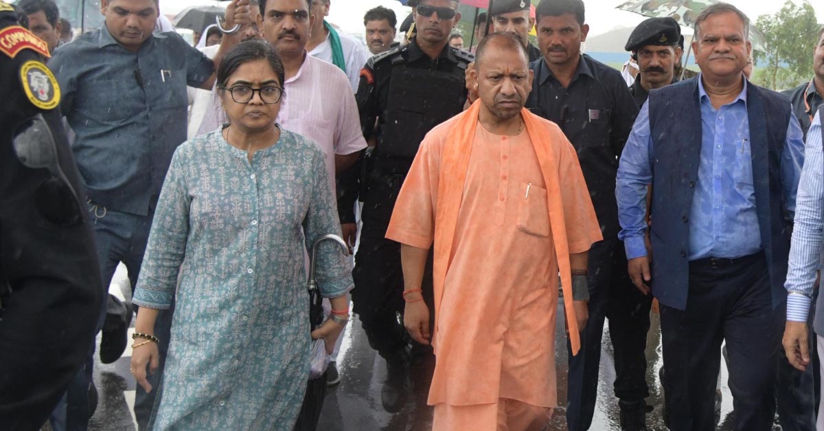 cm yogi3 1