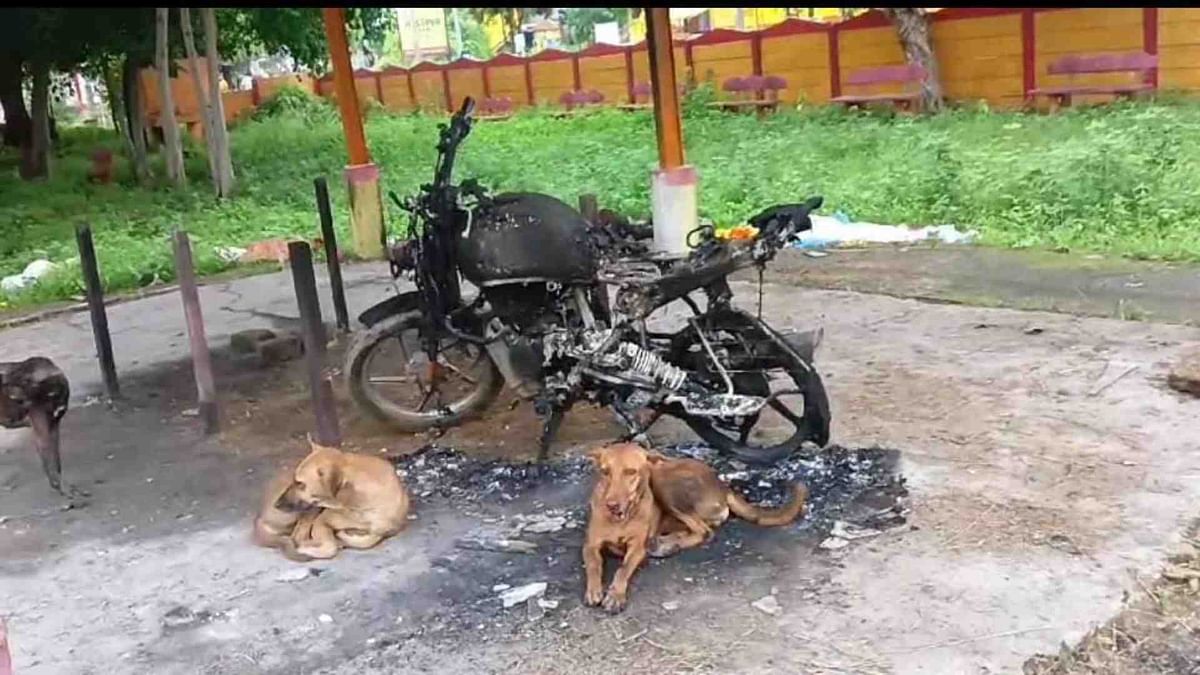 Madhya Pradesh News