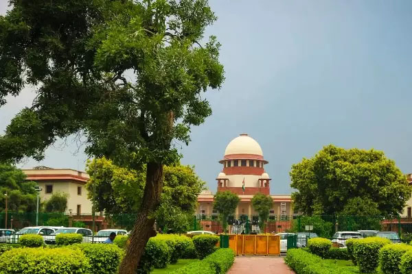 Delhi 5
