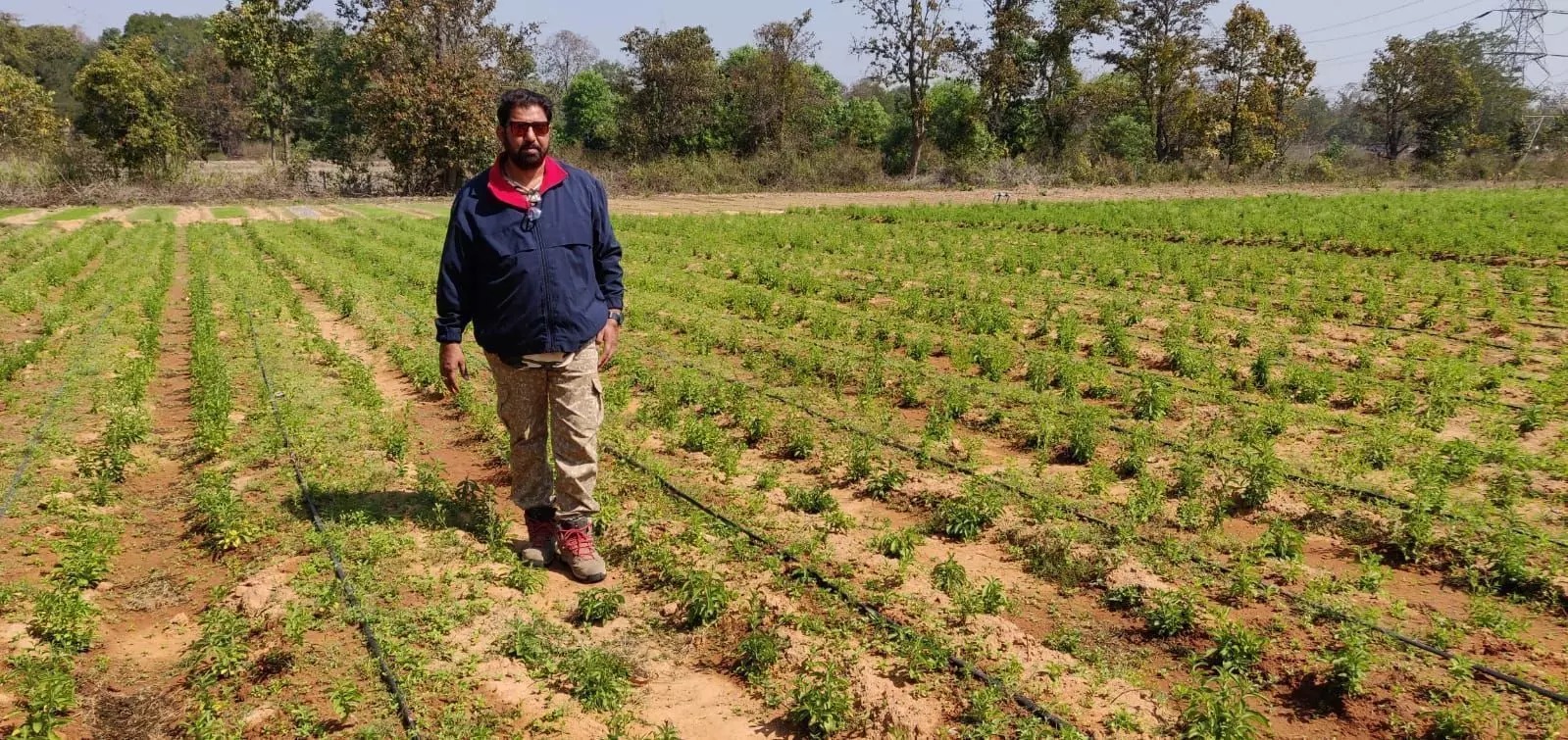 Rajaram Tripathi farmer