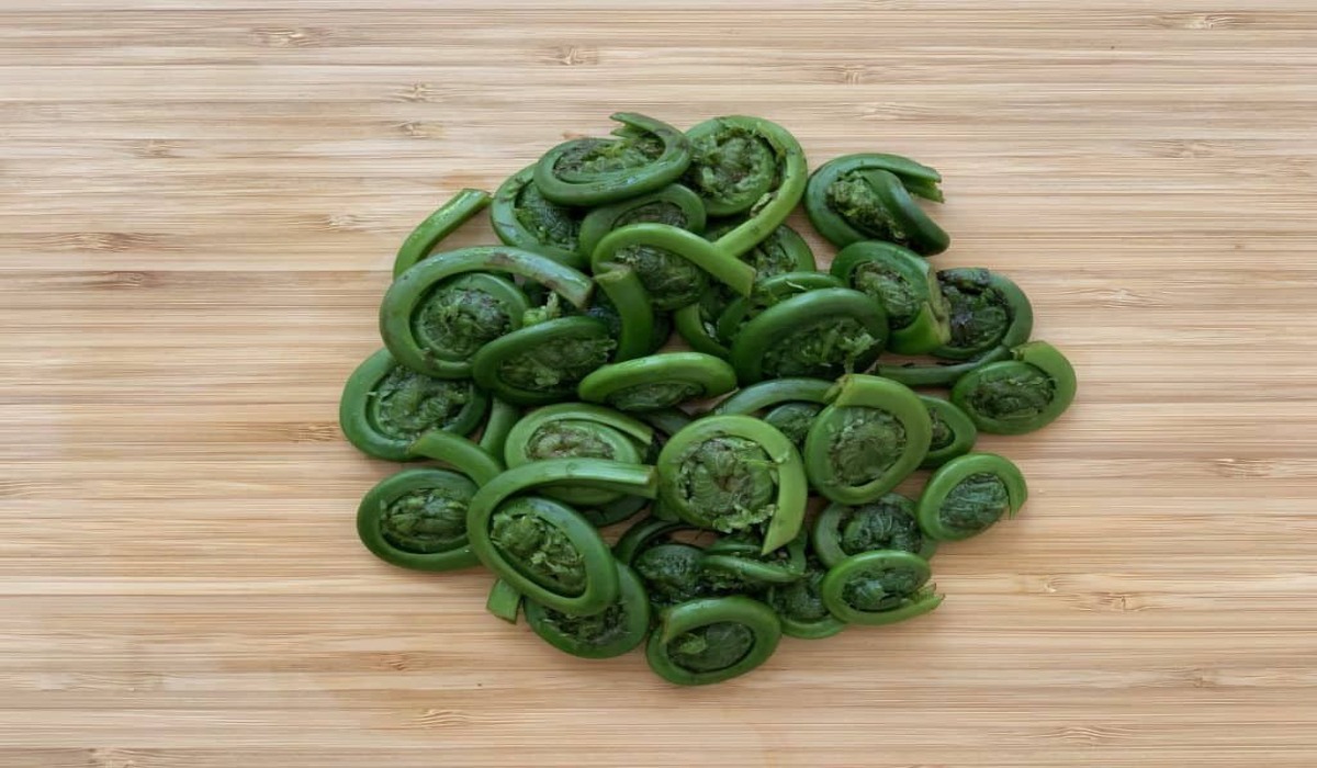 Fiddlehead Fern