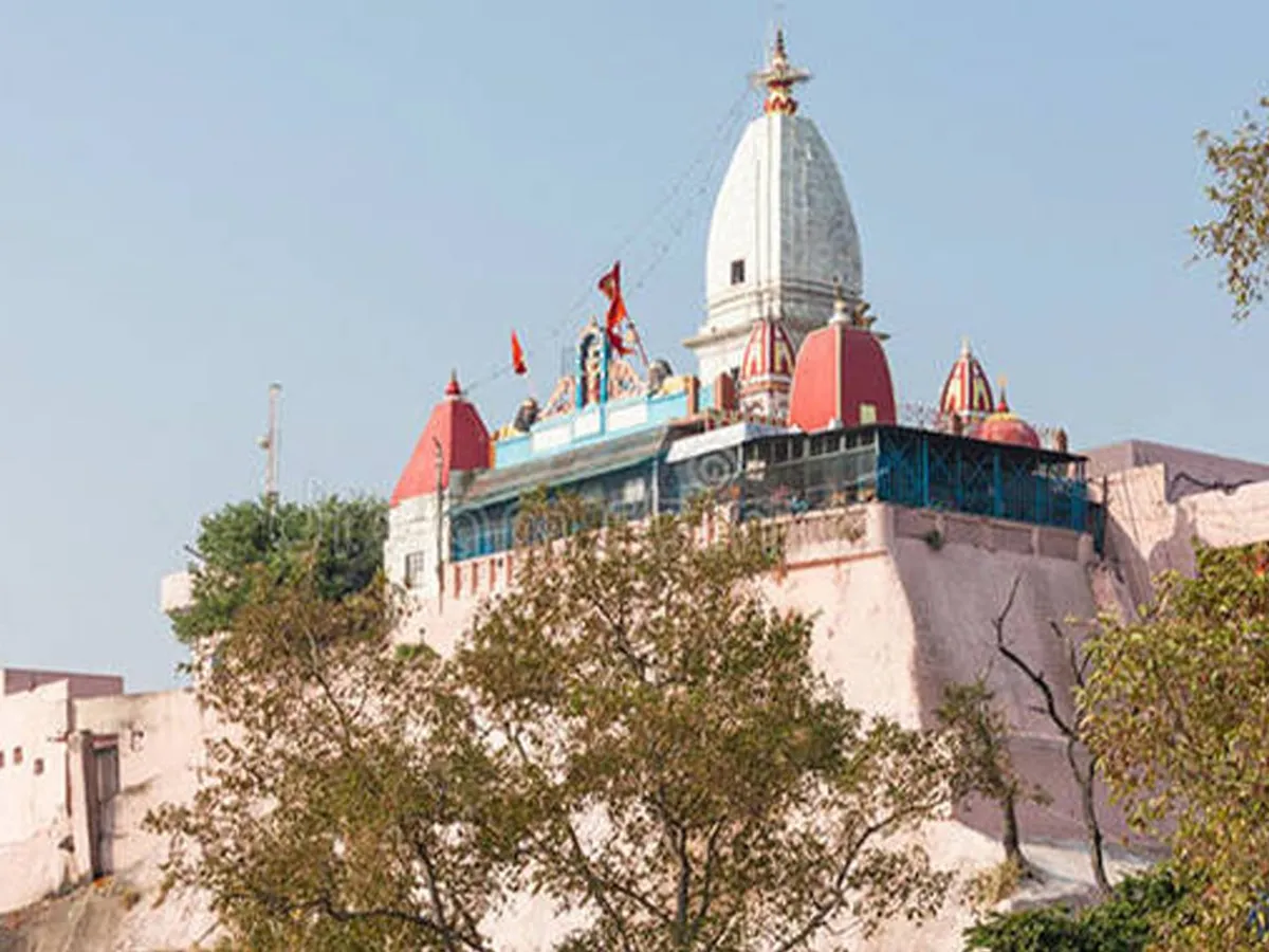 Mansa Devi Stampede