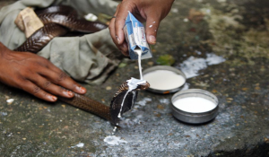 Nag Panchami