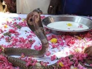 Nag Panchami Ki Puja Samagri