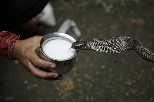 Nag Panchami Par Kya Daan Karein