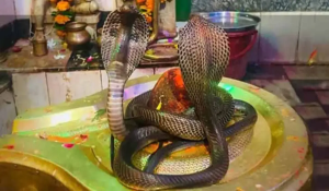 Nag Panchami