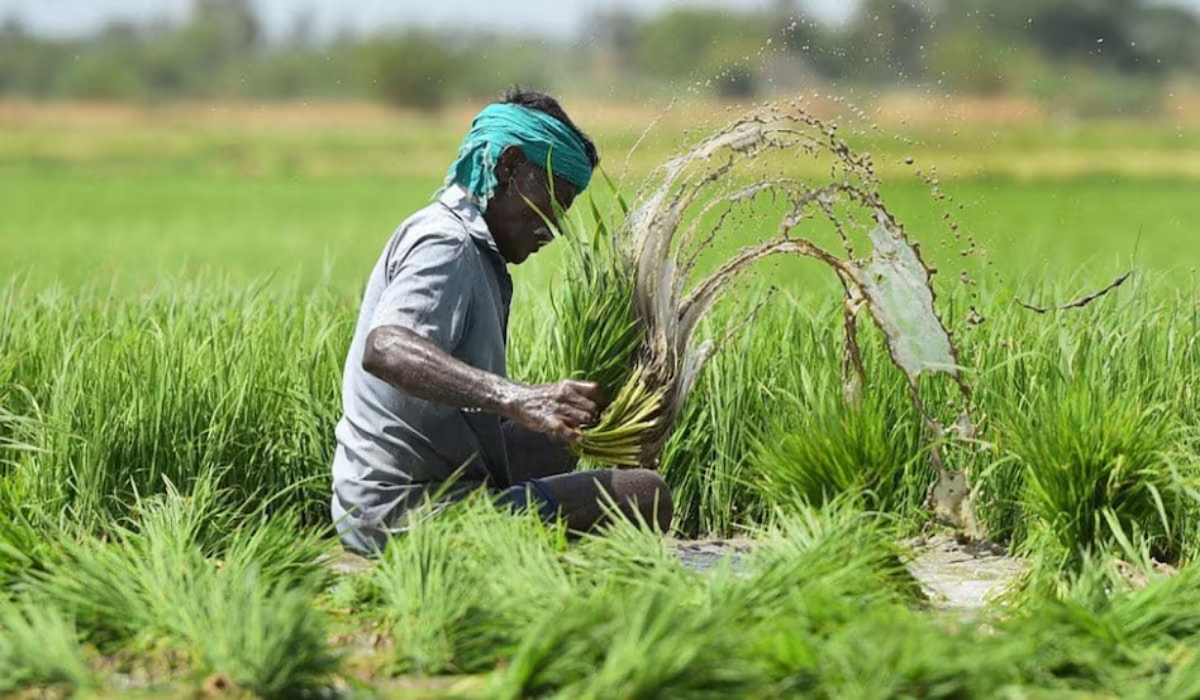 PM Fasal Bima Yojana