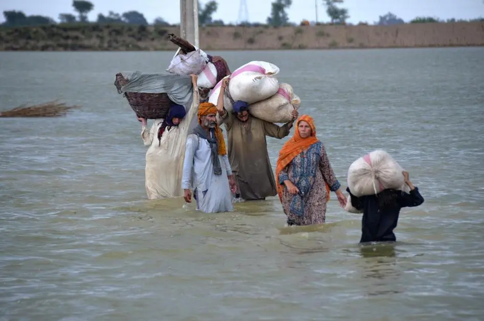NDMA Report