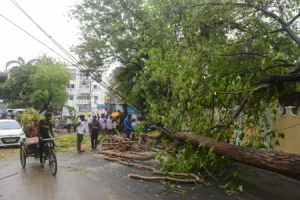 Aaj Ka Mausam 11 August 