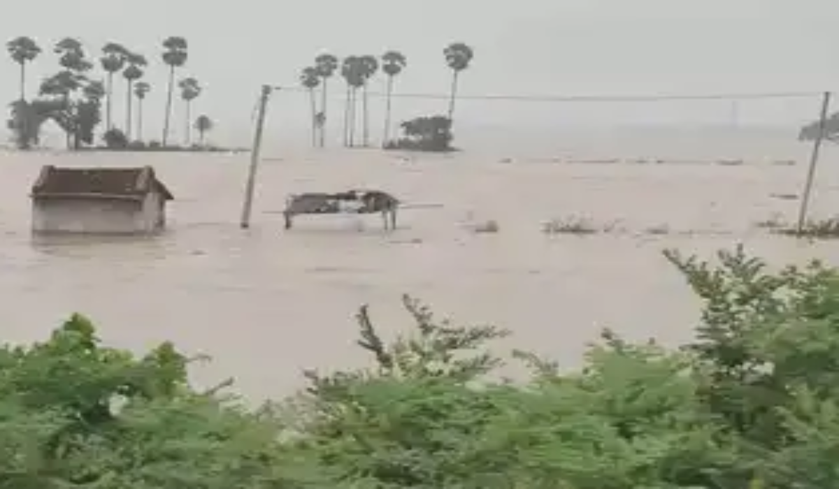 Bihar Flood Alert