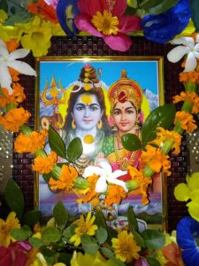 Hartalika Teej Wishes in Hindi