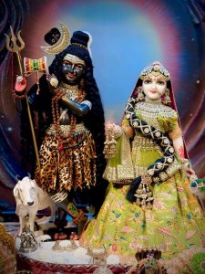 Hartalika Teej Wishes in Hindi