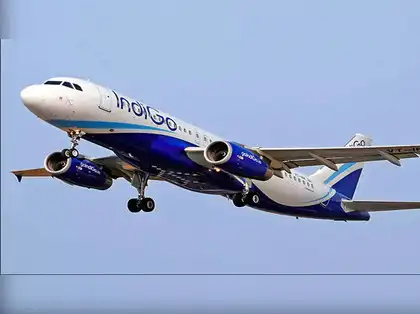 Indigo Share Price