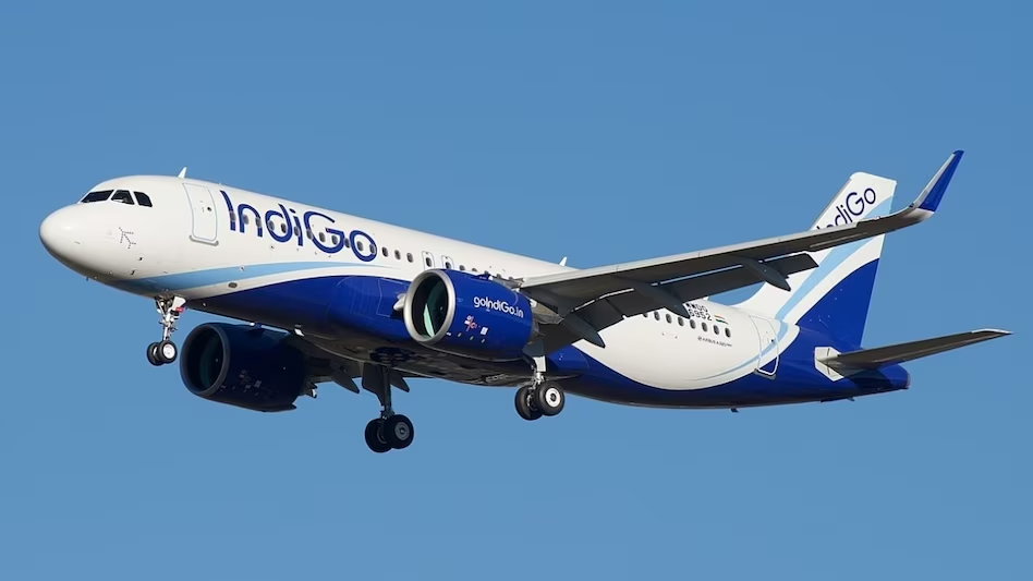 Indigo Share Price Drop