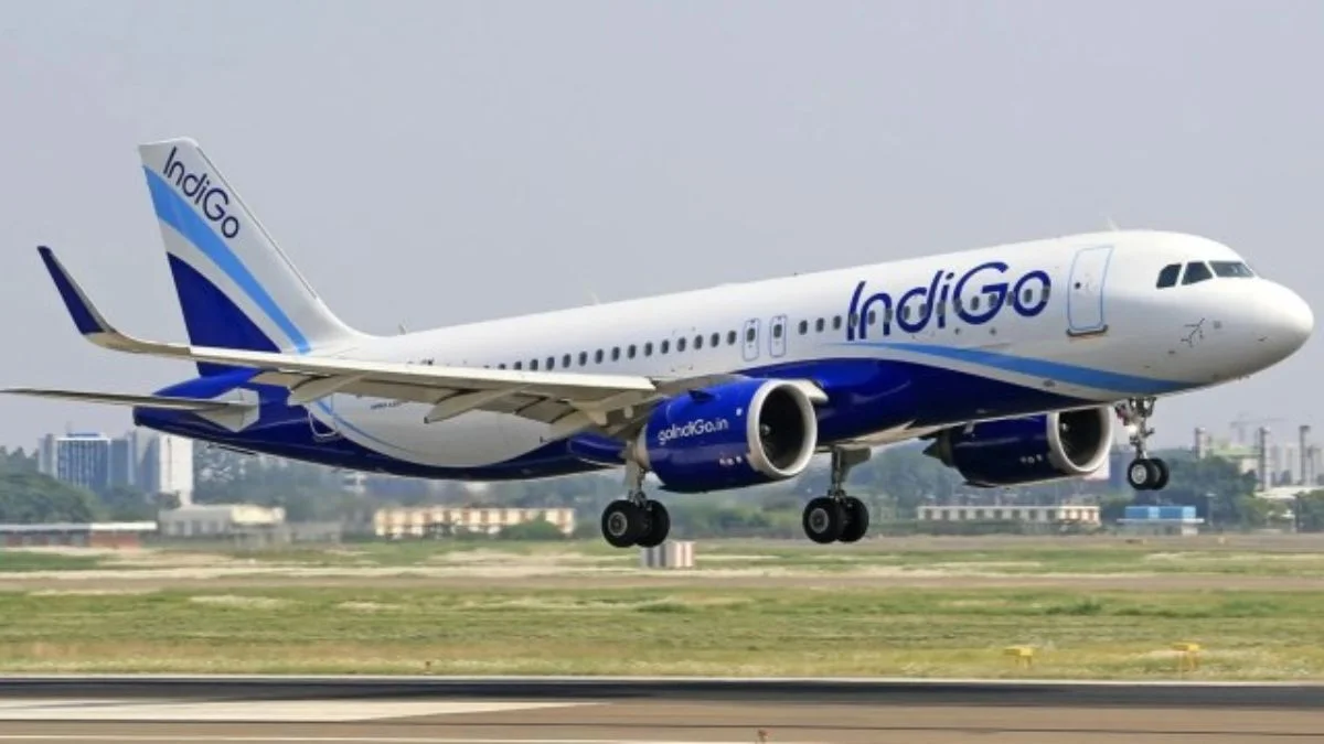 Indigo Travel Advisory