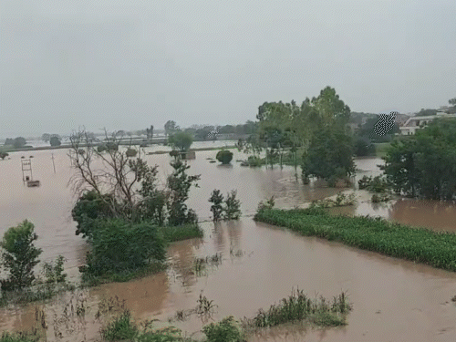 Punjab Flood News Today