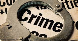 Udaipur Wife Acid Attack