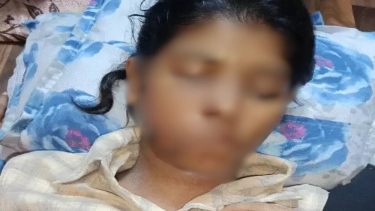 Kanpur Dogs Attack News