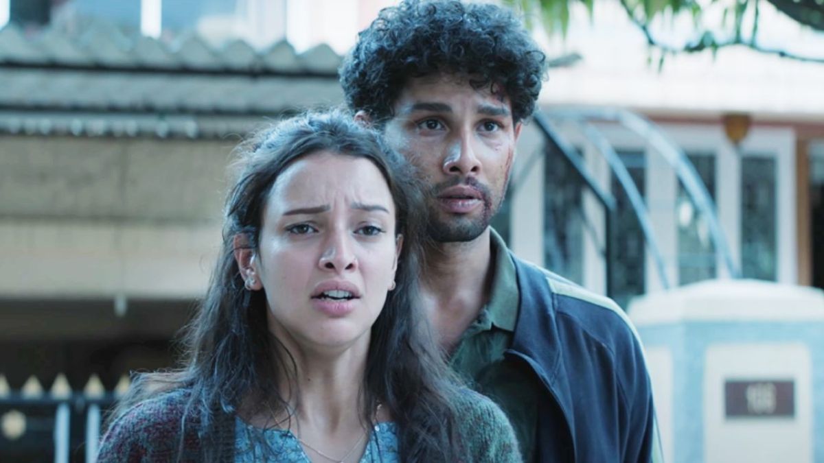Dhadak 2