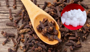 ganesh chaturthi 2025 upay