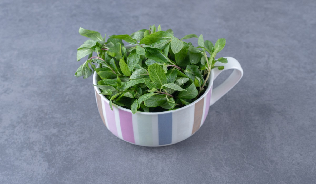 Health Benefits of Tulsi