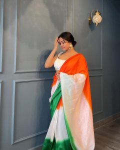 tri color saree