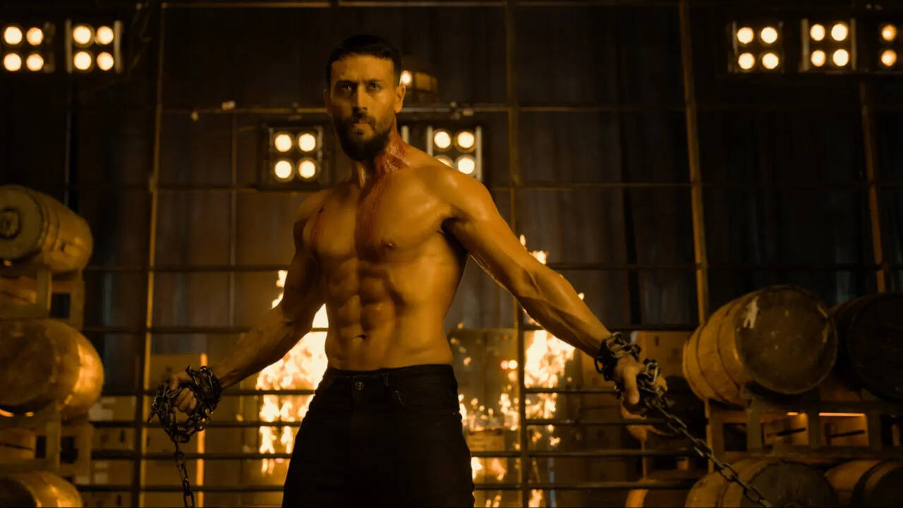 Baaghi 4 Box Office Collection