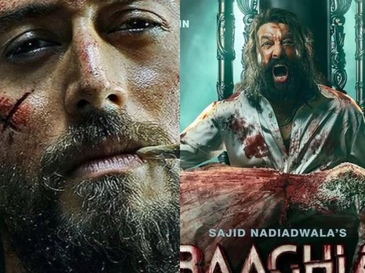 Baaghi 4 Review