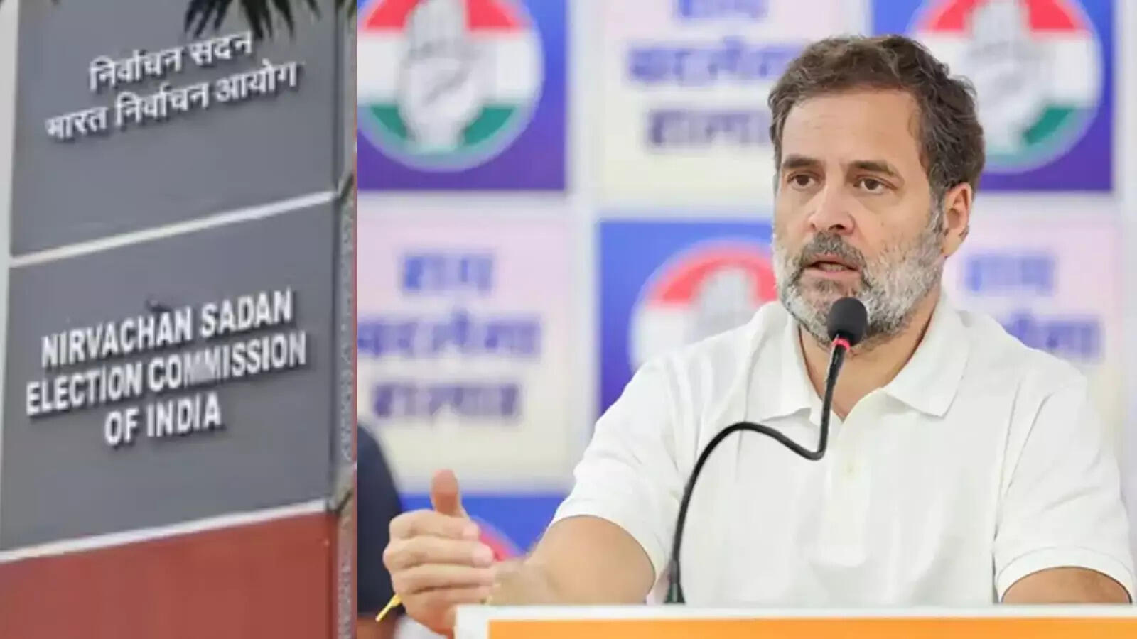 Election Commission Reply on Rahul Gandhi