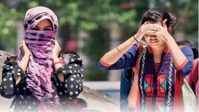 Haryana Weather