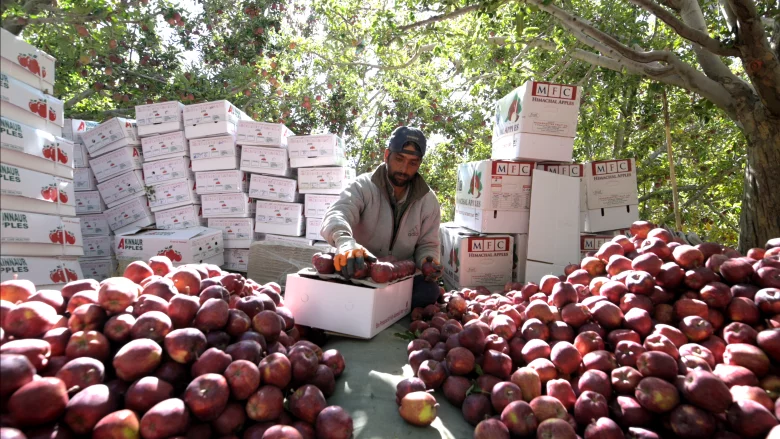 Himachal Apple Farming New Zealand Support