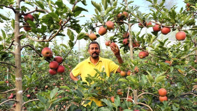 Himachal Apple Farming New Zealand Support