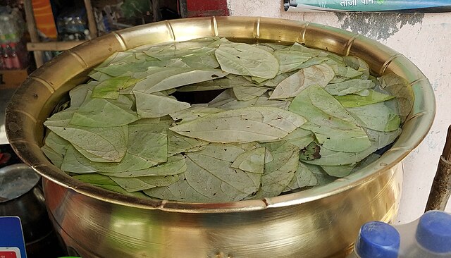 Betel Leaf health benefits