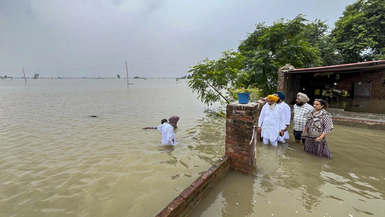 Punjab Rain Alert