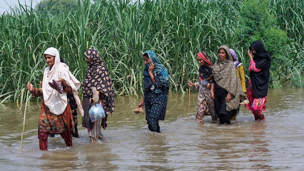 SC on Floods
