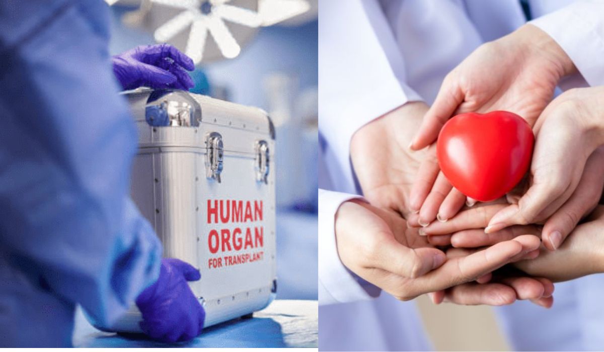 Fortis Hospital Heart Institute