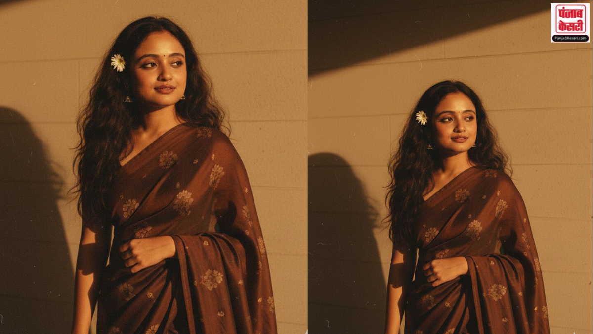 Brown Saree Prompt