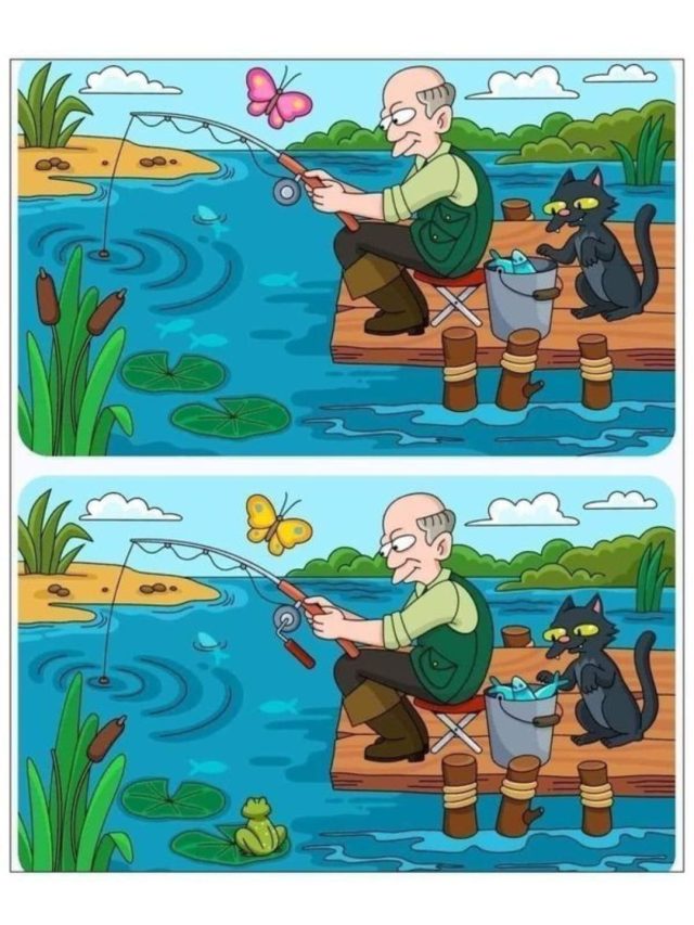 find the difference  खुद को intelligent समझते हैं  तो 10 सेकंड में ढूंढकर दिखाएं तस्वीर में छिपी 9 गलतियां